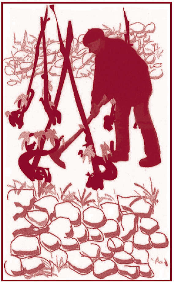 UVA Bourboulard Etiquette